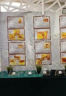 Капсула времени. Выставка