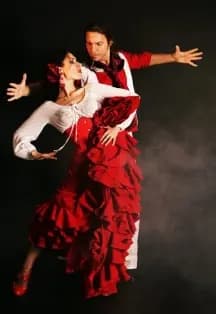 СТРАСТИ ПО ФЛАМЕНКО/Театр танца «El Tebi Flamenco»