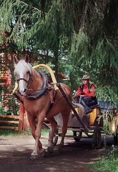 Сказочная деревня Мандроги