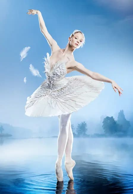 Лебединое озеро