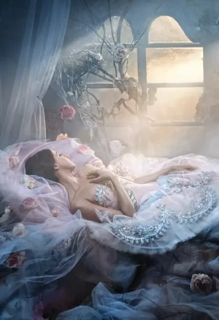 Спящая красавица