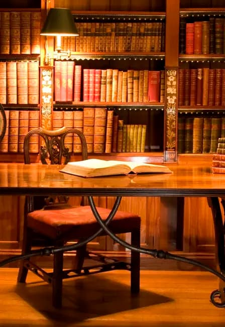 Родной язык, как ты прекрасен. Программа