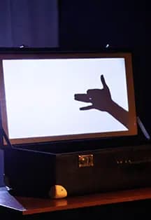 Игра с тенью