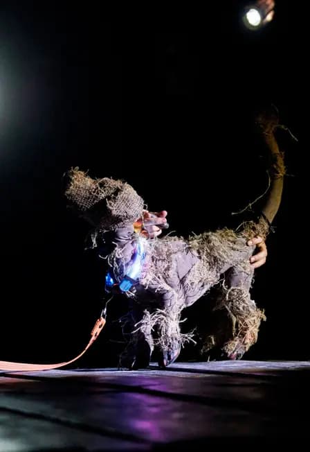 Лада, или Радость. Премьера