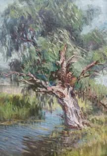 Портрет дерева. Мастер-класс