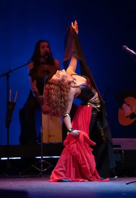 Дрома Ромэн