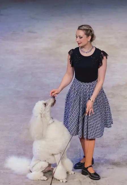 Дорога - длиною в век