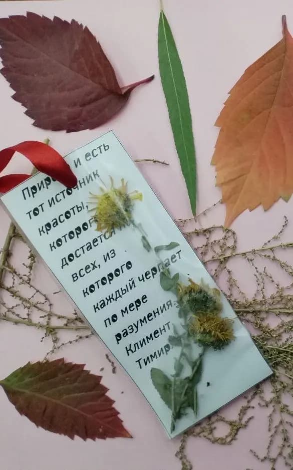 Мастер-класс по изготовлению закладки-гербария: Остановись, мгновение