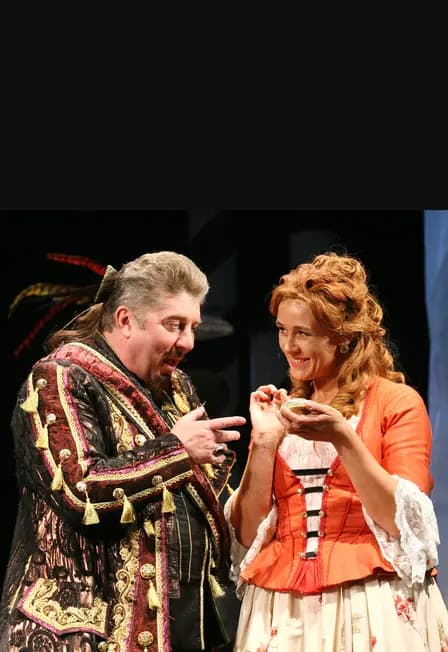 Хитрая вдова