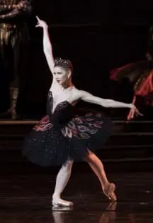 Лебединое озеро