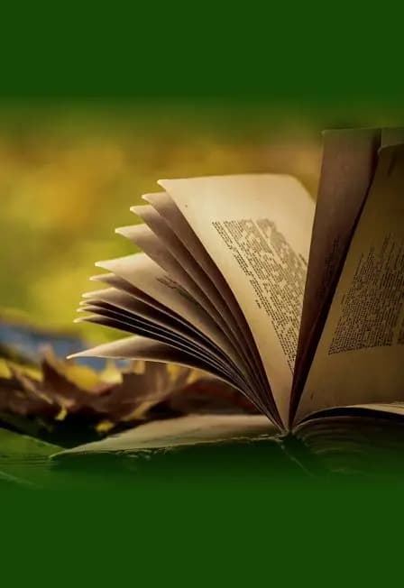 Литературное приключение «Тайны забытых книг»