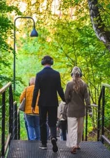 Городская сюита