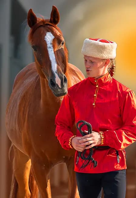 Экскурсия «Россия Златогривая» в рабочую конюшню