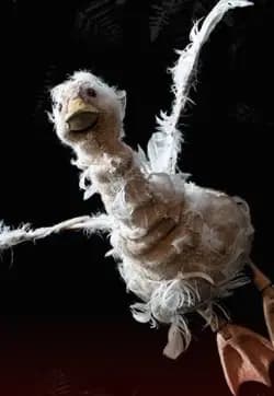 Последний сон Уточки