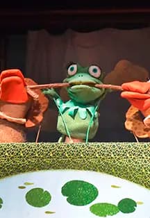 Лягушка-путешественница