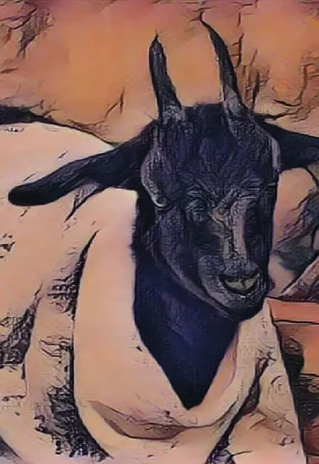 Об оренбургской козе и пуховом платке. Музейное занятие