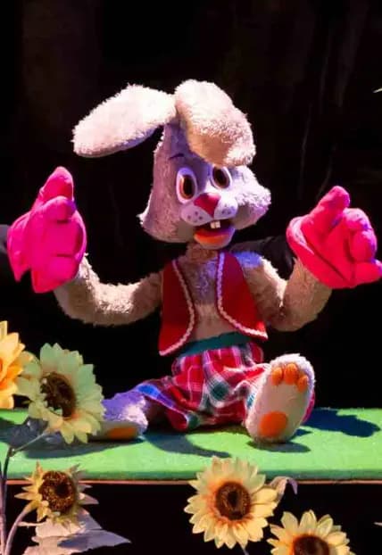 Зайка и его друзья