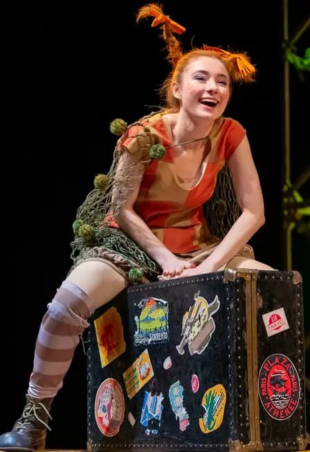 Пеппи Длинный чулок