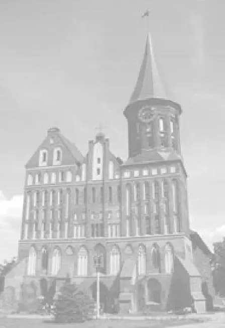 Авторские исторические дегустационные сеты в кафе Солёная ворона