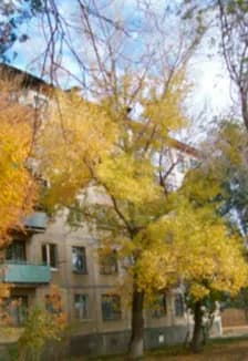 По страницам улиц города. Краеведческий квилт