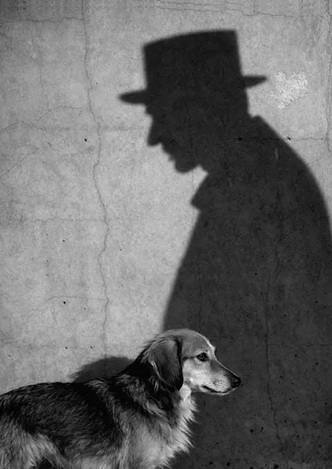 Каштанка: История собаки