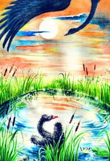 Гадкий утёнок