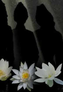 А зори здесь тихие...