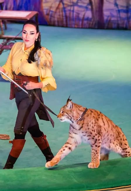 История хрустальной туфельки