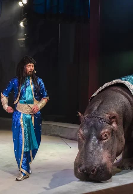 Каникулы Джинна