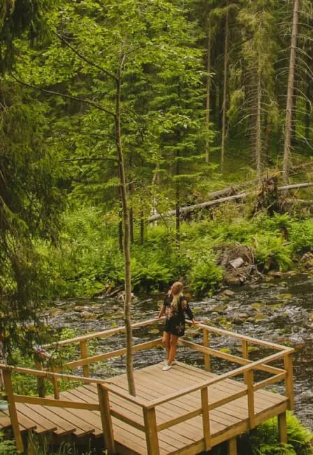 Дивный день в Карелии: водопады, хаски, водная прогулка на драккаре к форелевой ферме