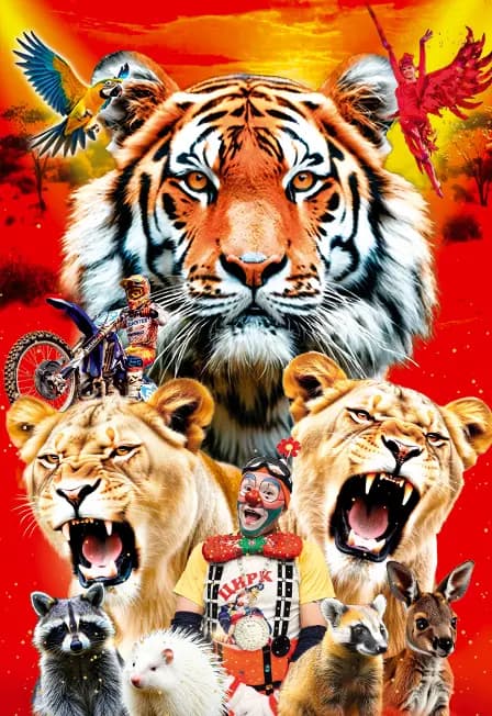 Цирк Золото Африки с программой "Тигры среди львиц"