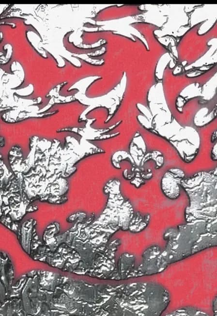 МЯГКИЕ ТКАНИ