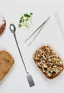 Лаборатория микрозелени