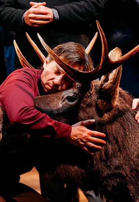 Утиная охота