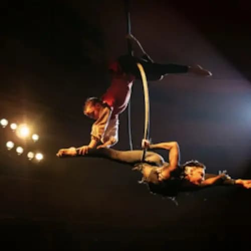 Рони, дочь разбойника