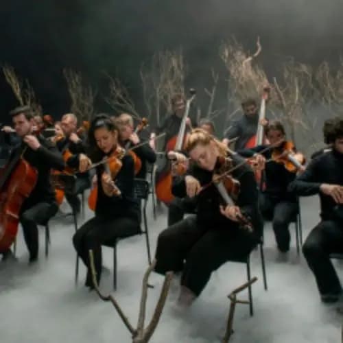 Симфония Экспедиция 33 – Оркестр Cagmo