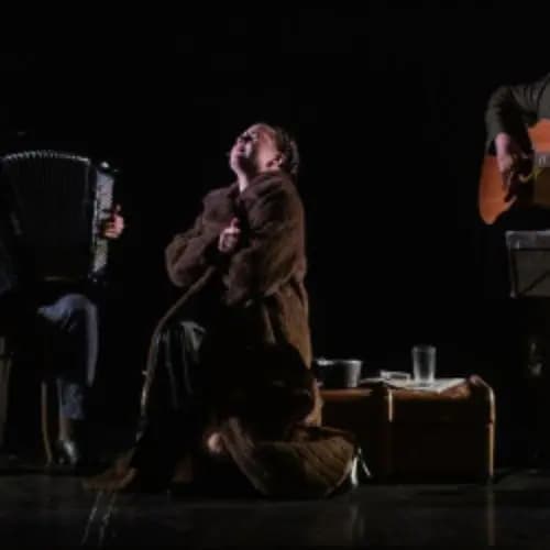 Дина Верни, или Элитная музыка для шпаны