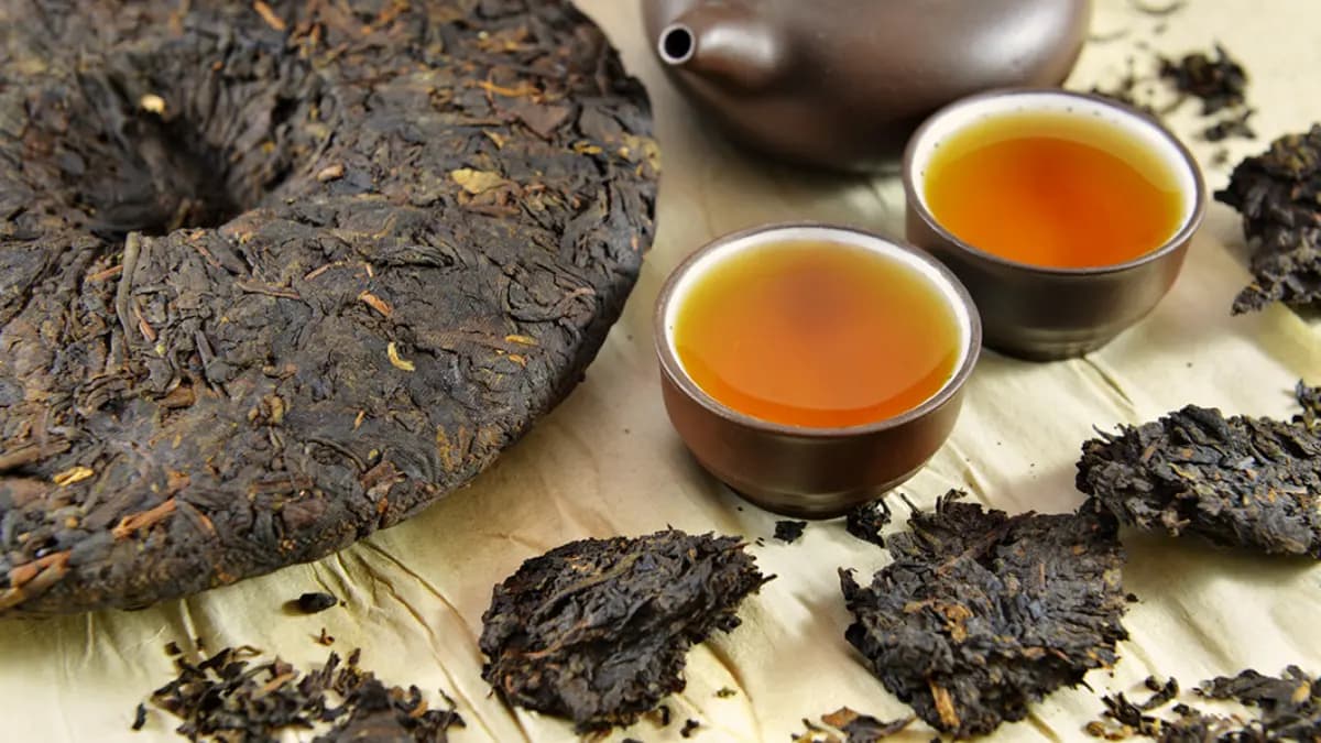 Дегустация пуэров (H2O)