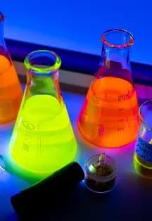 Почему светятся медузы?