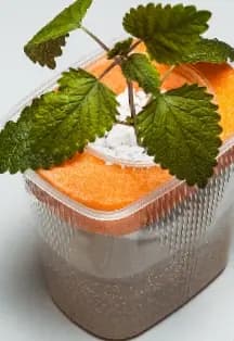 Сити-фермер