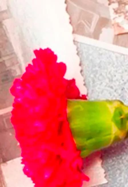 Концерт духового оркестра Мариинского театра