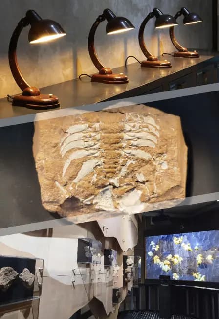 Сланцевский историко-краеведческий музей