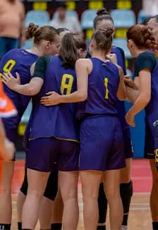 Чеваката - Владимирские Львицы-ВлГУ (Владимир)