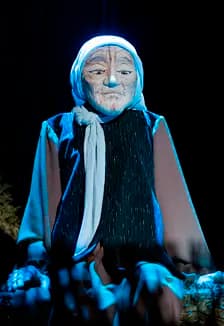 Материнское поле