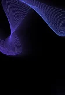 ПроБизнес Рейв