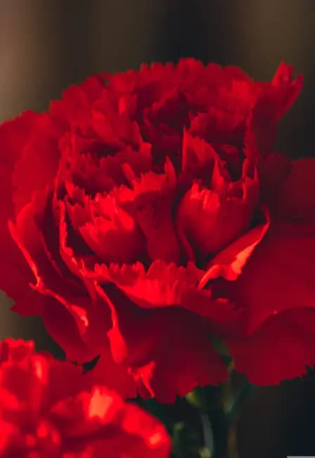 Цветок памяти: Мастер-класс