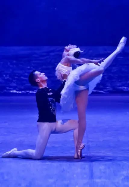 Лебединое озеро