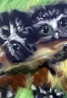 Пушистый друг. Мастер-класс (изготовление картины в технике шерстяная акварель)