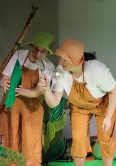 Где бабочка?