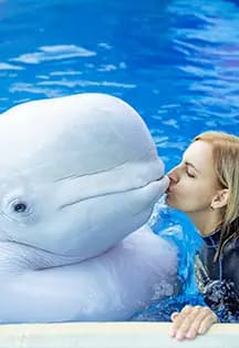 Плавание с китами